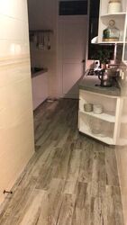 Tanglin Park (D10), Condominium #565680521
